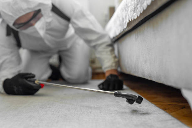 Professional Bed Bug Control technician working in New Haven, WV