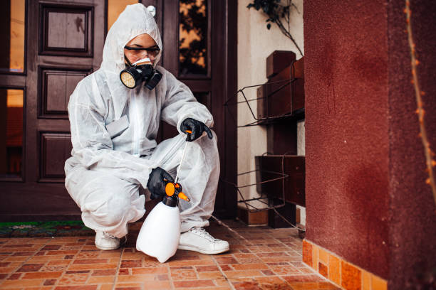 Reliable Bed Bug Control contractor in New Haven, WV by Nex Pest Control