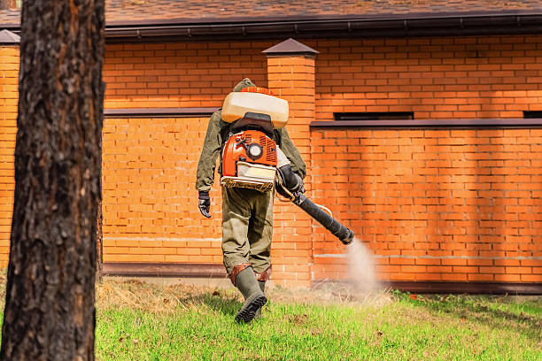 Trusted Cockroach Control service in New Haven, WV - Nex Pest Control